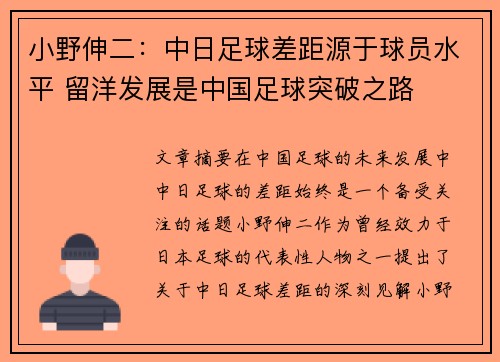 小野伸二:中日足球差距源于球员水平 留洋发展是中国足球突破之路